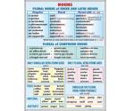 Nouns. Plural nouns latin & greec origin (f) // Rules of reading of vowels 1 (verso)