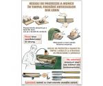 1. Reguli de protecţie a muncii în timpul finisarii articolelor din lemn // 2. Parcuri şi gradini 