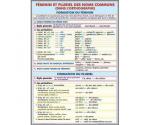 Femenin et pluriel des noms communs (dans l’indicatif) Formation du femenin. Formation du pluriel (f) // L’article PaRŢItif. Omissiion de l’article (v)