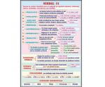 Verbul (1) (faţa) // Vocabularul (Lexicul) (verso)