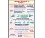 Flexiunea verbului 3. Diatezele (faţa) // Mijloace interne de îmbogaţire a vocabularului (verso)