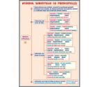 Acordul subiectului cu predicatul (2) (faţa) // Procedee de expresivitate artistica (2) (verso)