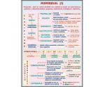 Numeralul (1) (faţa) // Pronumele (1) (verso)