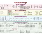 Determinanţi (faţa) / Funcţia putere (verso)
