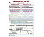 Будущее время глагола // Согласование имен прилагательных с существительными