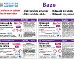 SET Baze