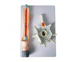 MODEL NEURON